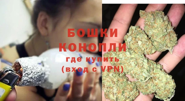 PSILOCYBIN Заволжье