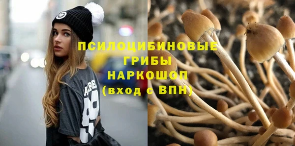 PSILOCYBIN Заволжье