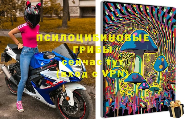 амф Заволжск