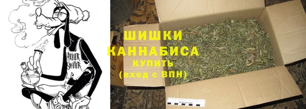 PSILOCYBIN Заволжье