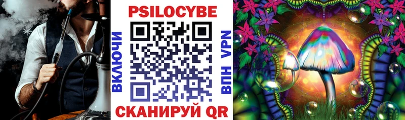 Псилоцибиновые грибы Psilocybine cubensis Семёнов